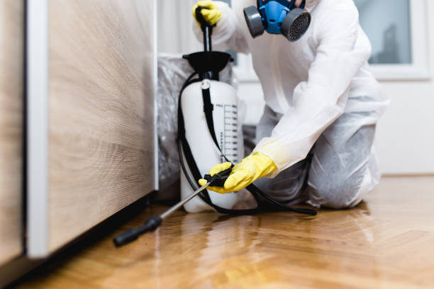 Best Pest Control for Restaurants  in Talent, OR