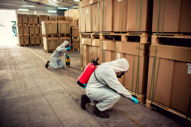 Pest Prevention Services in Talent, OR