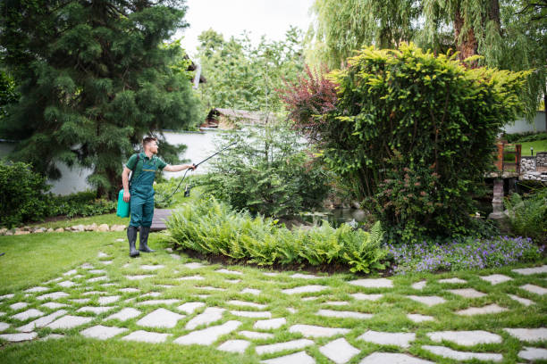 Best Affordable Pest Control Services  in Talent, OR