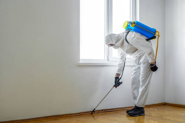 Best Pest Prevention Services  in Talent, OR