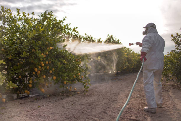 Best Local Pest Control Services  in Talent, OR