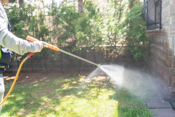 Spider Control Near Me in Talent, OR