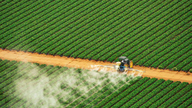 Best Commercial Pest Control Services  in Talent, OR